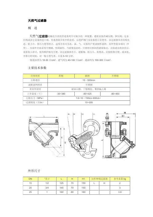 天然气过滤器