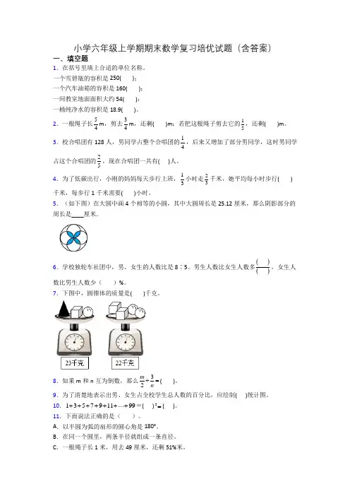 小学六年级上学期期末数学复习培优试题(含答案)