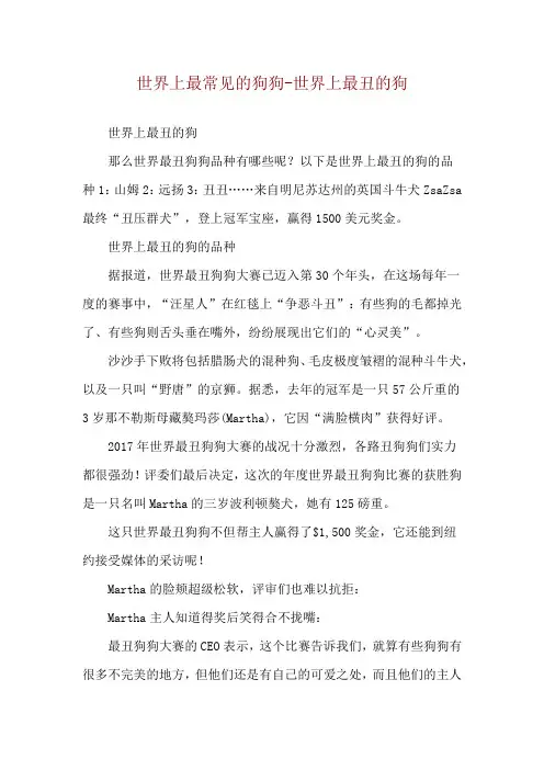 世界上最常见的狗狗-世界上最丑的狗