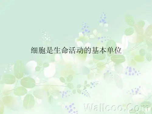 01细胞是生命活动的基本单位