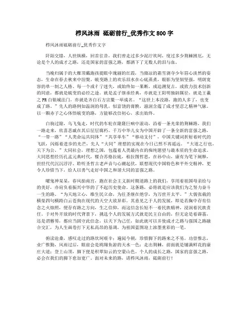 栉风沐雨 砥砺前行_优秀作文800字