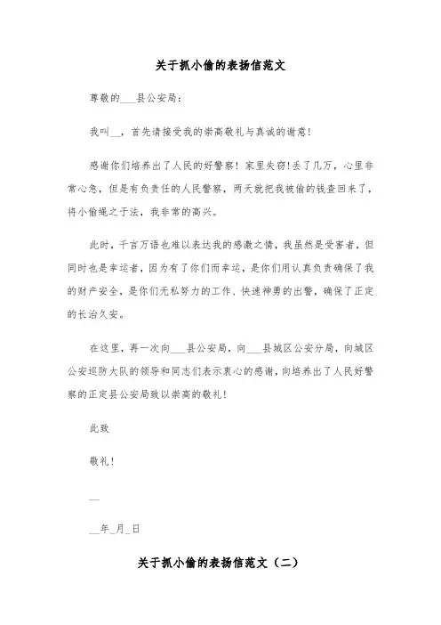 关于抓小偷的表扬信范文（三篇）