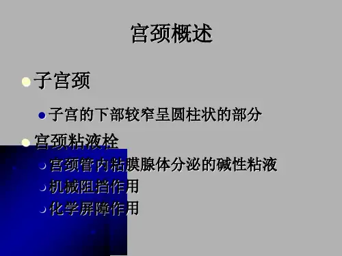 宫颈HPV感染PPT课件