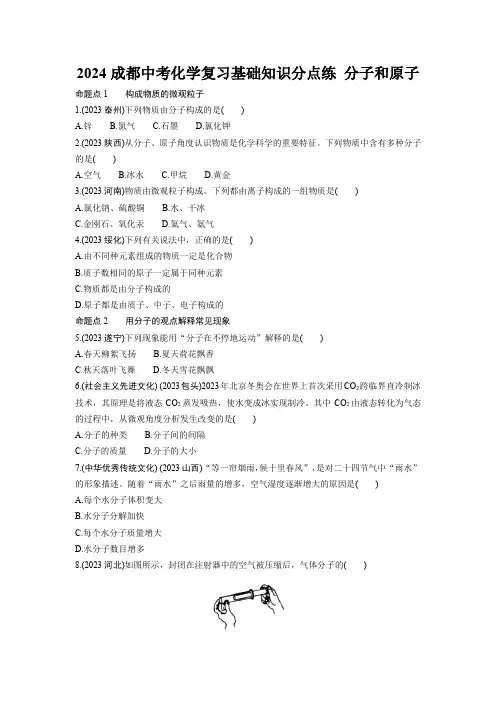 2024成都中考化学复习基础知识分点练 分子和原子 (含详细解析)