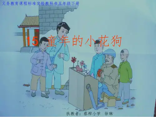 童年的小花狗(徐琳)
