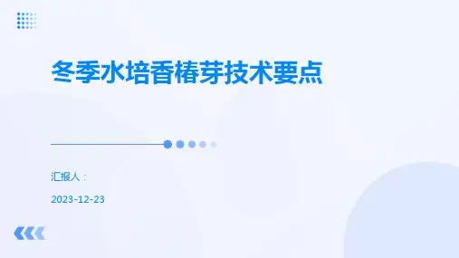 冬季水培香椿芽技术要点