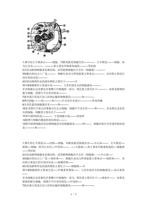 植物细胞亚显微结构模式图