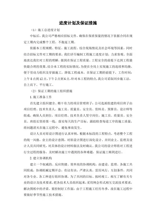 进度计划及保证措施