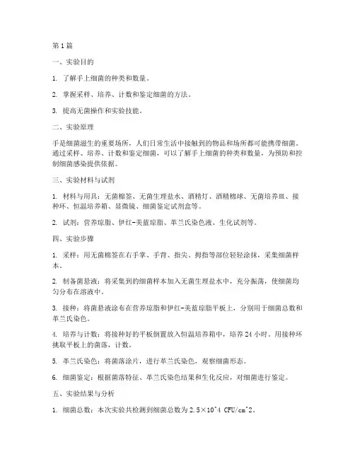 手的细菌实验报告(3篇)