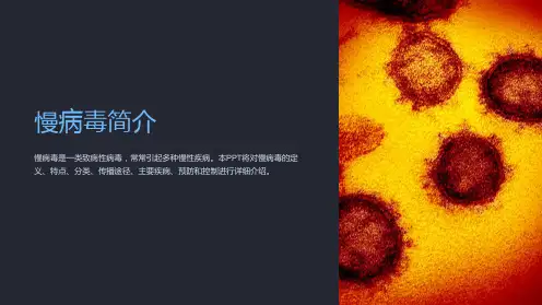 《慢病毒简介》课件