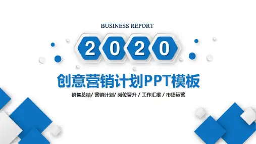 保健品市场营销计划PPT