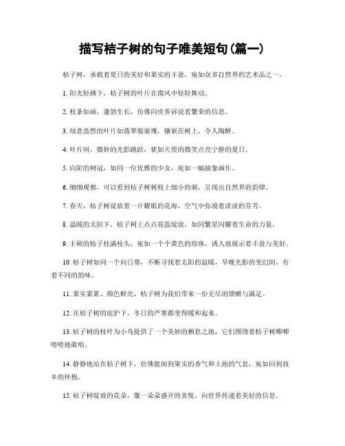 描写桔子树的句子唯美短句(精选2篇)