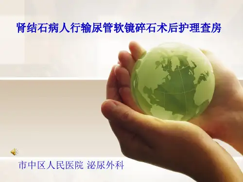 输尿管软镜碎石术病人的护理查房PPT课件