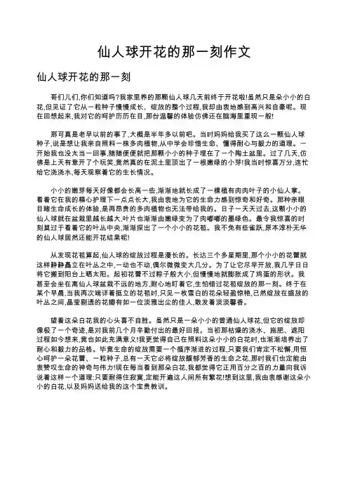 仙人球开花的那一刻作文