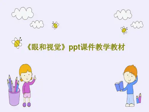 《眼和视觉》ppt课件教学教材30页PPT
