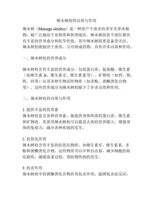 辣木树枝的功效与作用