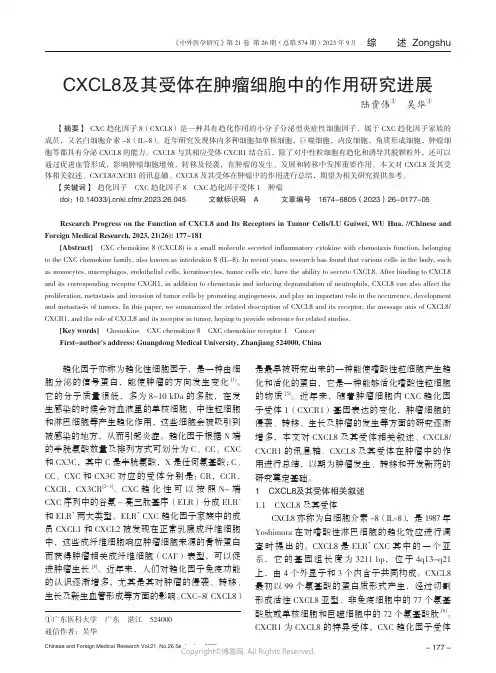 CXCL8及其受体在肿瘤细胞中的作用研究进展