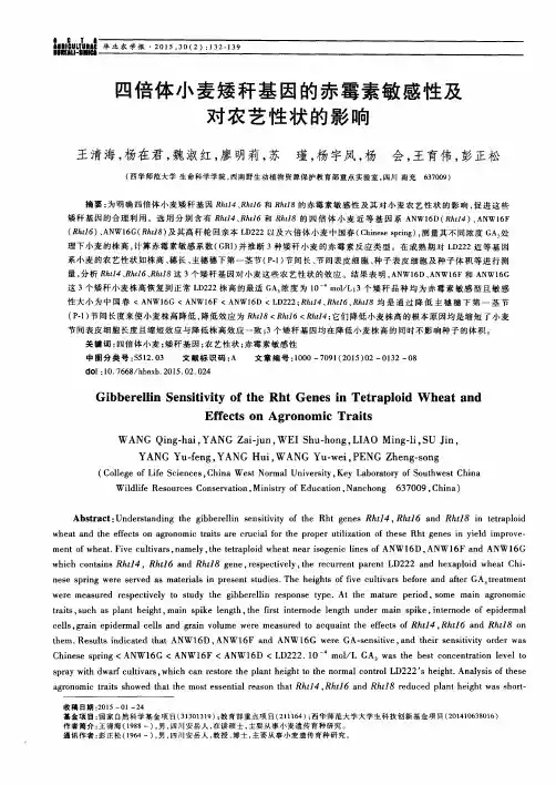 四倍体小麦矮秆基因的赤霉素敏感性及对农艺性状的影响