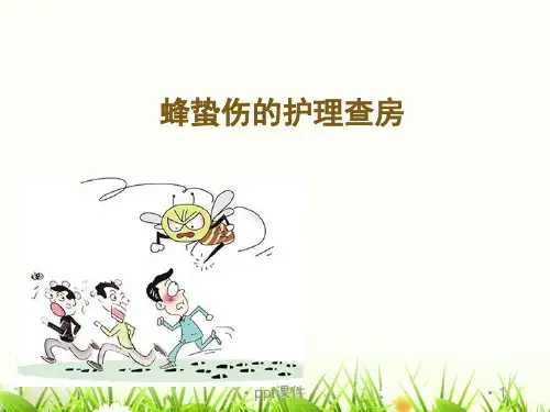 蜂蛰伤的护理查房--ppt课件(2024版)