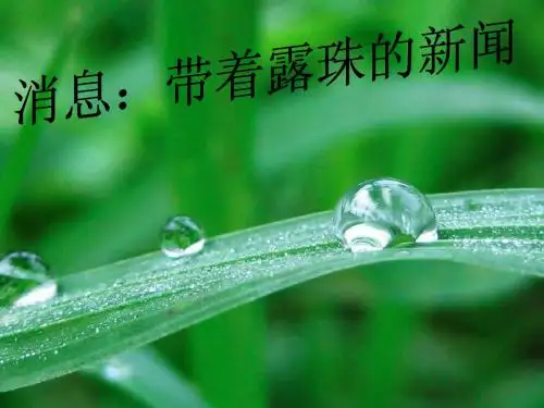 消息：带着露珠的新闻PPT