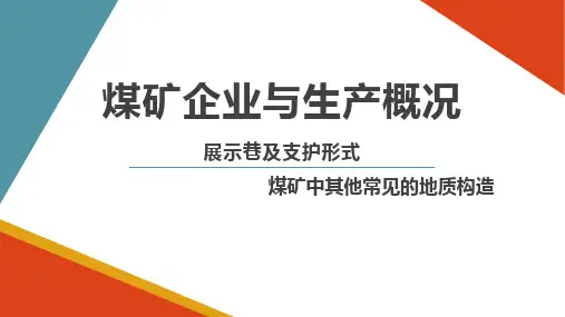 煤矿中其他常见的地质构造