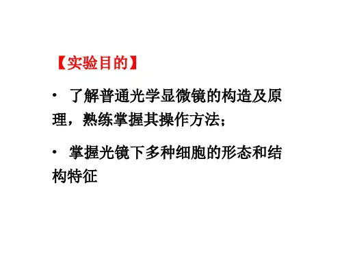 医学细胞生物学实验_PPT幻灯片
