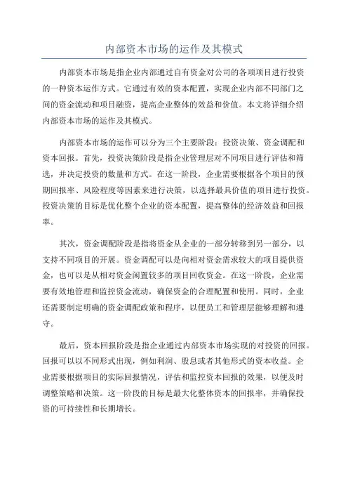 内部资本市场的运作及其模式