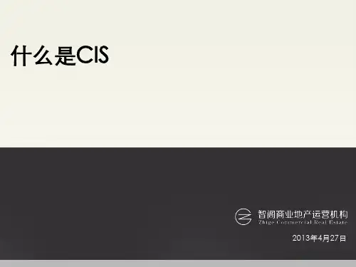 什么是CIS