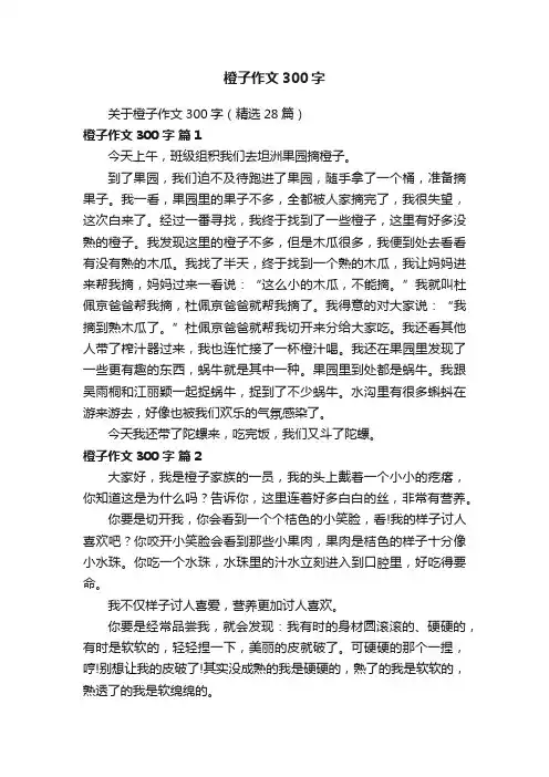 关于橙子作文300字（精选28篇）