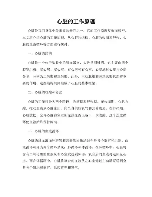 心脏的工作原理