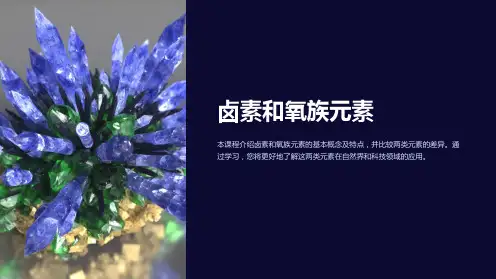 《卤素和氧族元素》课件