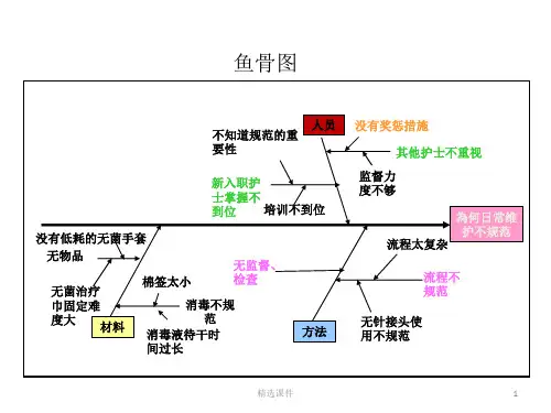 《可编辑鱼骨图》PPT课件
