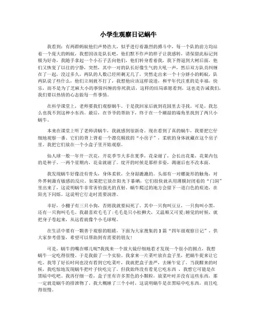 小学生观察日记蜗牛