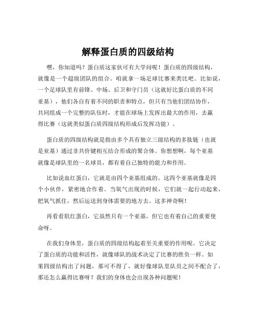 解释蛋白质的四级结构