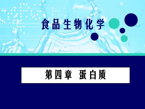第4章 蛋白质