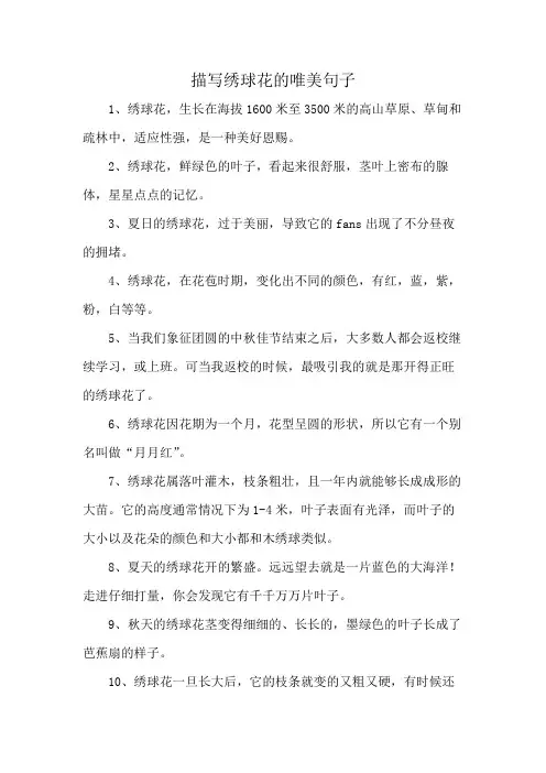描写绣球花的唯美句子