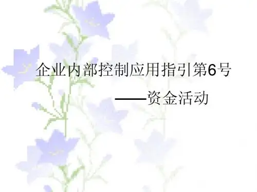 资金活动 内部控制