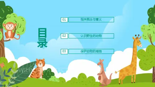 保护野生动物就是保护我们自己讲座课件