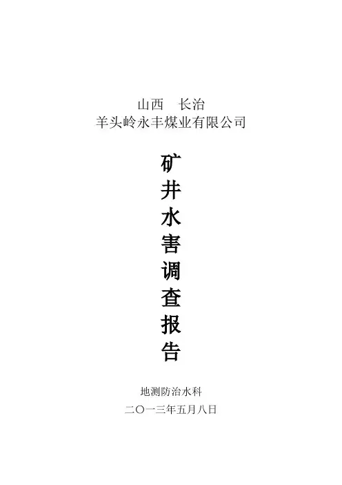 永丰煤矿矿井水害调查报告