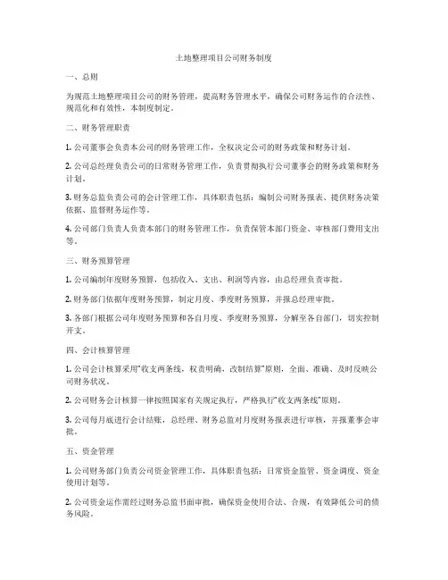 土地整理项目公司财务制度