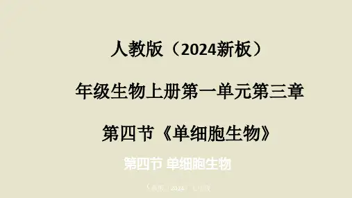 人教版(2024新板)七年级生物上册第一单元第三章第四节《单细胞生物》优质课件