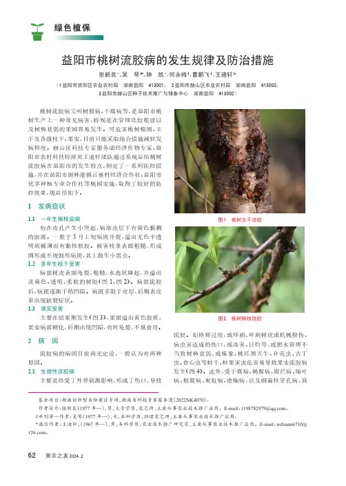 益阳市桃树流胶病的发生规律及防治措施