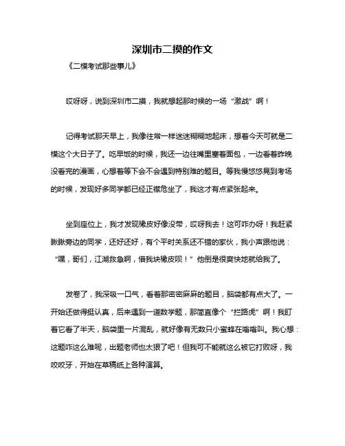 深圳市二摸的作文