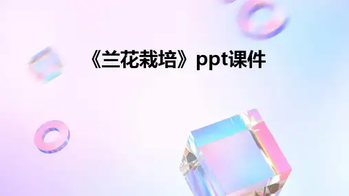 《兰花栽培》课件