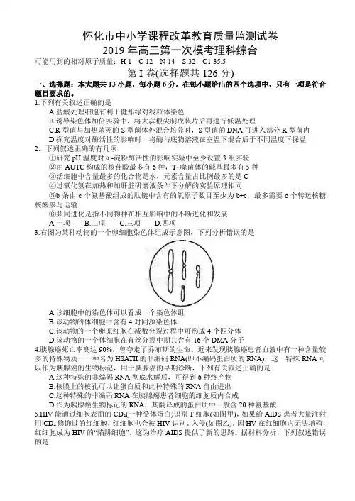湖南省怀化市2019届高三3月第一次模拟考试理科综合试题