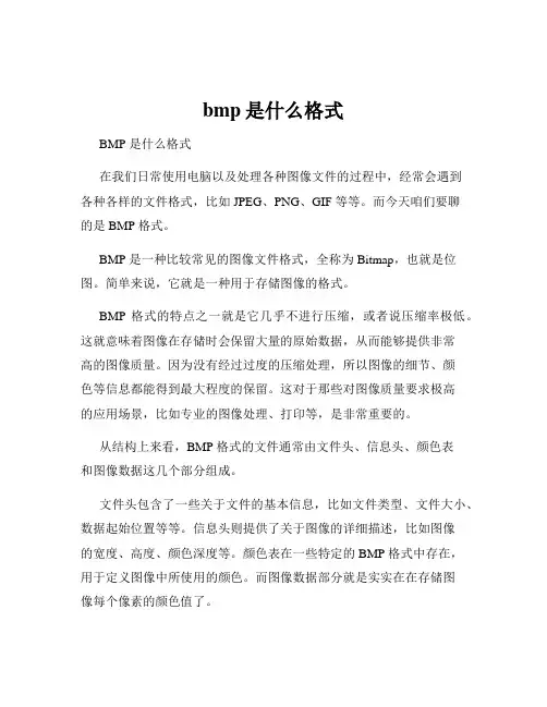 bmp是什么格式