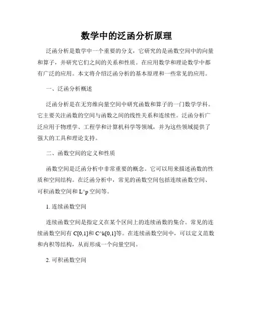 数学中的泛函分析原理