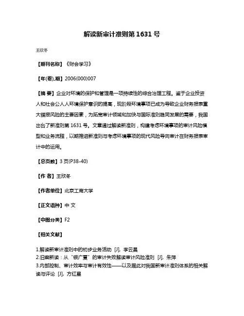 解读新审计准则第1631号