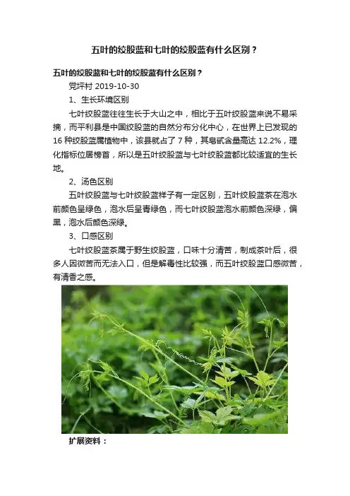 五叶的绞股蓝和七叶的绞股蓝有什么区别？