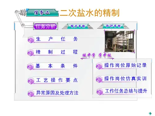 第2章 二次盐水的精制 离子膜烧碱生产工艺操作课件